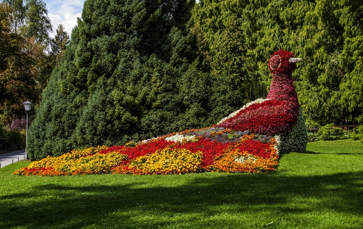 Insel Mainau