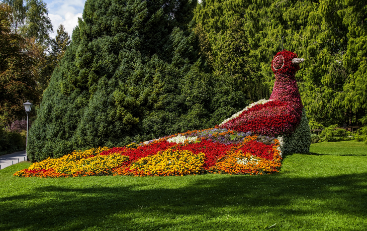Insel Mainau