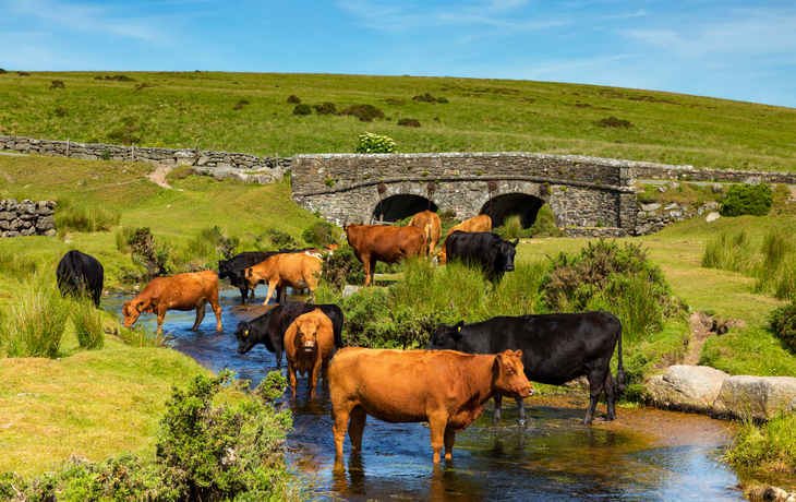 Dartmoor Nationalpark in Devon, Vereinigtes Königreich