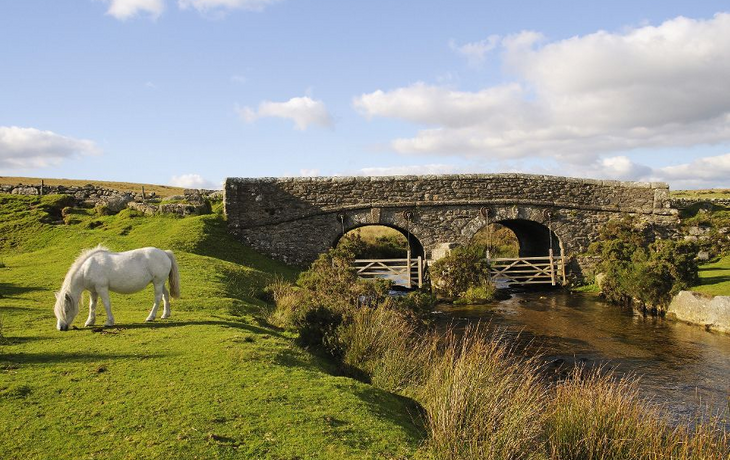 Dartmoor Nationalpark in Devon, Vereinigtes Königreich