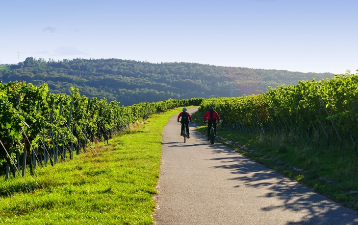 Mountainbiken in den Weinbergen