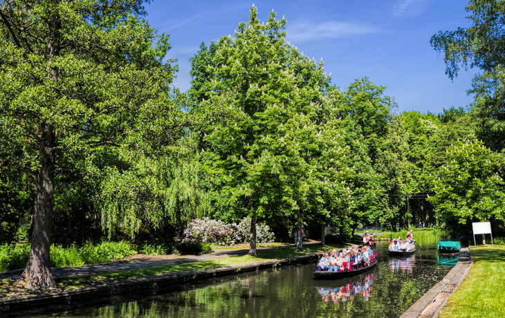 Spreewald nahe Lübbenau