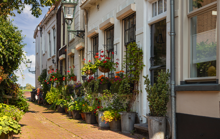 schmale Gasse mit bunten Blumen in Blumentöpfen in der Stadt Kampen in der Provinz Overijssel