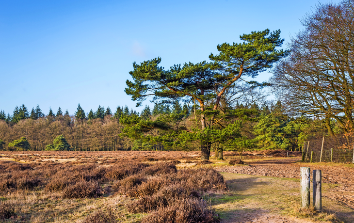 Nationalpark Hoge Veluwe