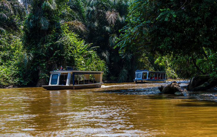 Boote auf dem Fluss Tortuguero in Costa Rica während der Trockenzeit