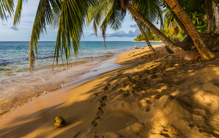 Punta Uva Beach in Puerto Viejo in Costa Rica