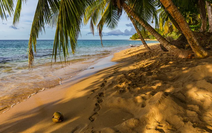 Punta Uva Beach in Puerto Viejo in Costa Rica