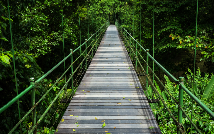 Hängebrücke im Dschungel von Sarapiqui, Costa Rica