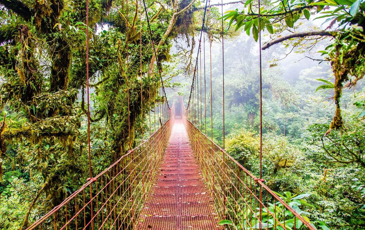 Brücke im Regenwald auf Costa Rica 