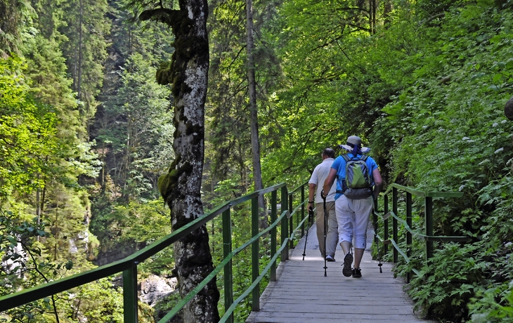 Breitachklamm