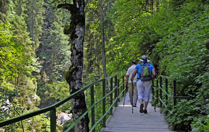 Breitachklamm