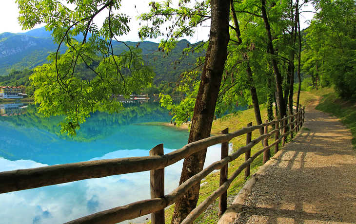 Ledrosee, Ledrosee