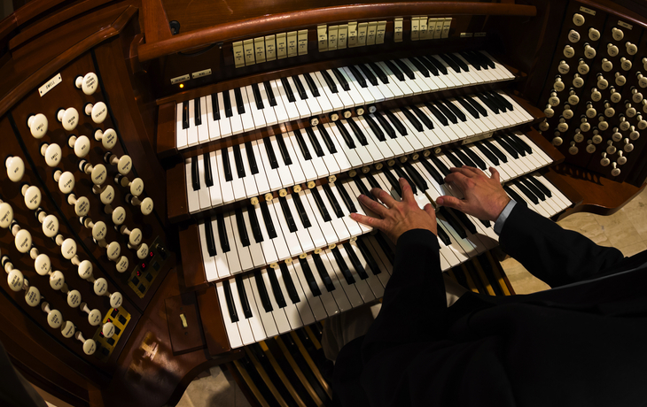 Orgel