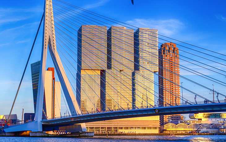berühmte Erasmusbrücke in Rotterdam