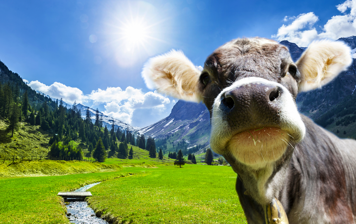 Schweizer Landschaft im Frühling