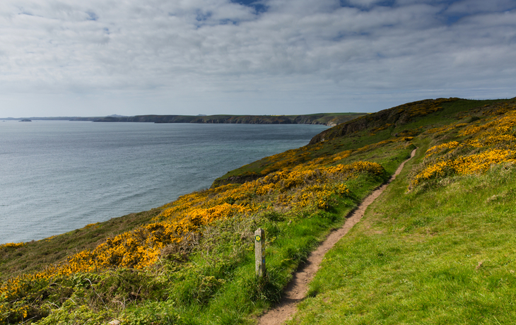 Pembrokeshire Coast Path