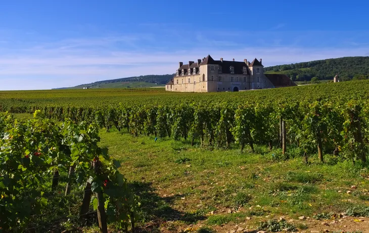 Château du Clos de Vougeot