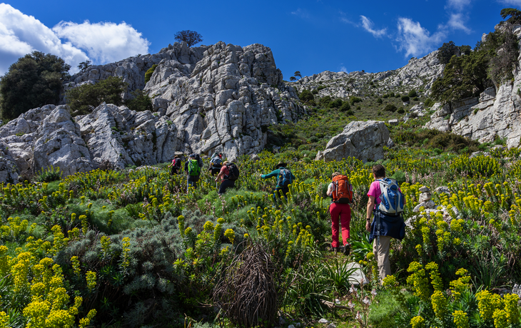 Wanderurlaub auf Sardinien, Italien: Wandern im karstigen Supramonte Gebirge, Monte Albo, Punta Cupeti - spektakuläre Ausblicke