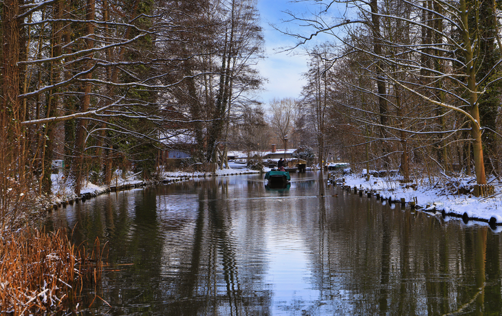 winterlicher Spreewald