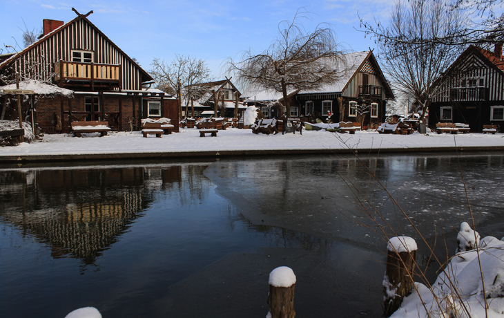 Wintertag in Leipe im Spreewald 