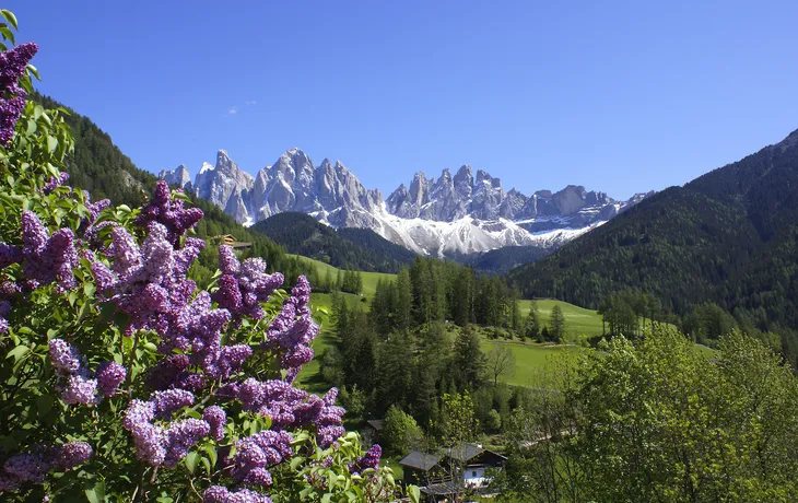 Frühling in den Südtiroler Dolomiten