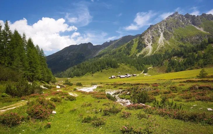 Ursprungalm - Schladming