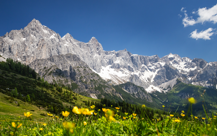 Blick zur Dachstein-Südwand