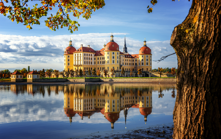Schloss Moritzburg mit Spiegelung im Herbst