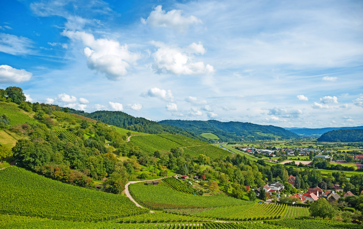Kinzigtal mit Weinberglandschaft nahe Gengenbach im Schwarzwald, Deutschland