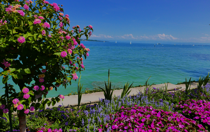 Insel Mainau