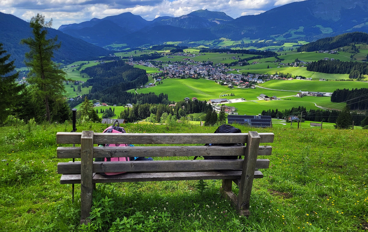 Blick auf Abtenau