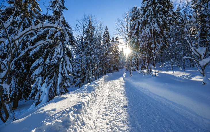 am Fichtelberg im Winter