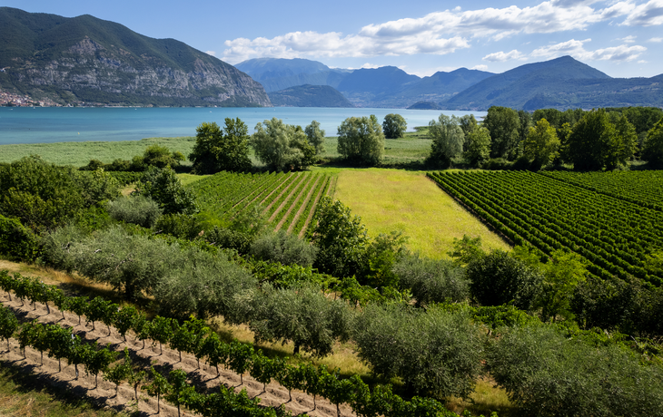 Landschaft von Franciacorta und Iseosee in der Lombardei