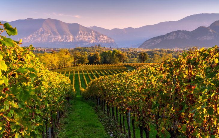 Herbst in Franciacorta