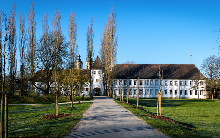 Schlosspark Bad Mergentheim im Frühling