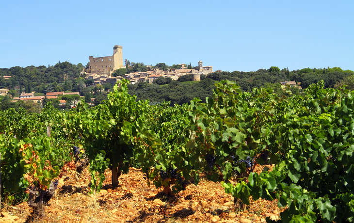 Weinregion Châteauneuf-du-Pape