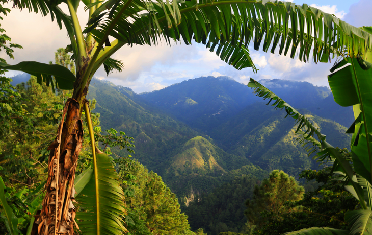 Blue Mountains in Jamaika
