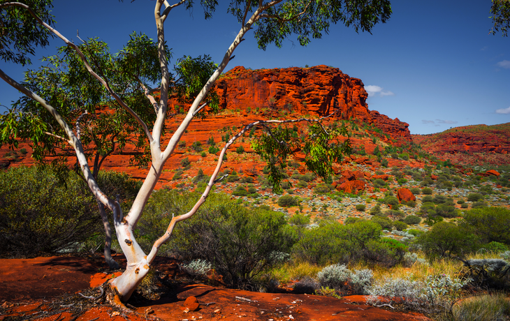 Aussie Outback