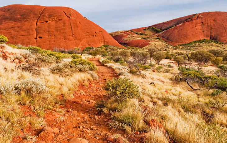 Wilde Natur im australischen Outback