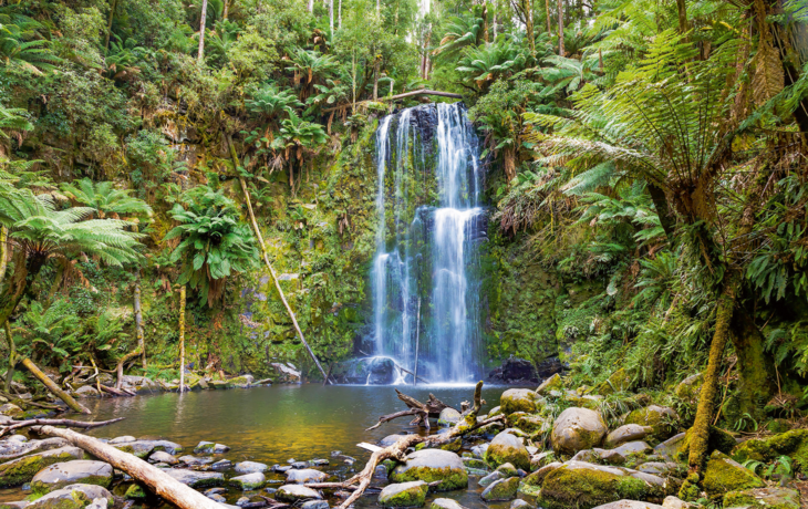 Wasserfall auf Tasmanien