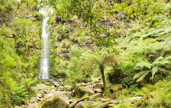 Erskine Falls entlang der Great Ocean Road