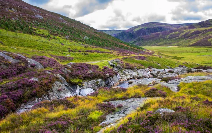 Schottische Landschaft - Angus, südlich der Grampian Mountains