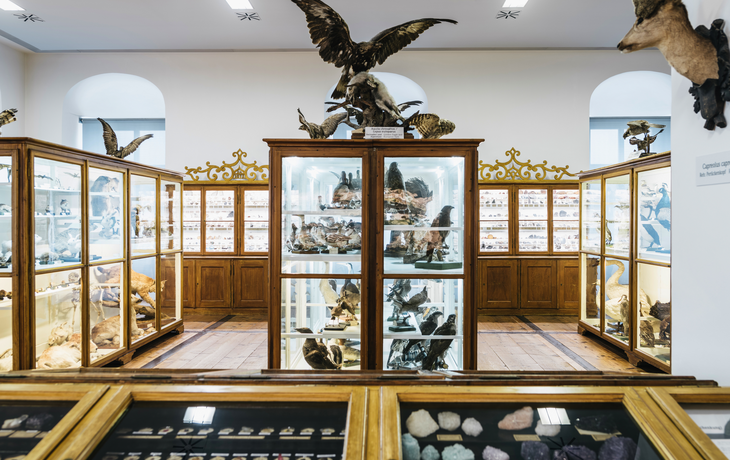 Benediktinerstift Admont: Naturhistorisches Museum