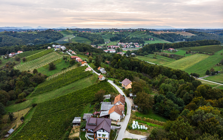 Weinberge von Jeruzalem in Slowenien