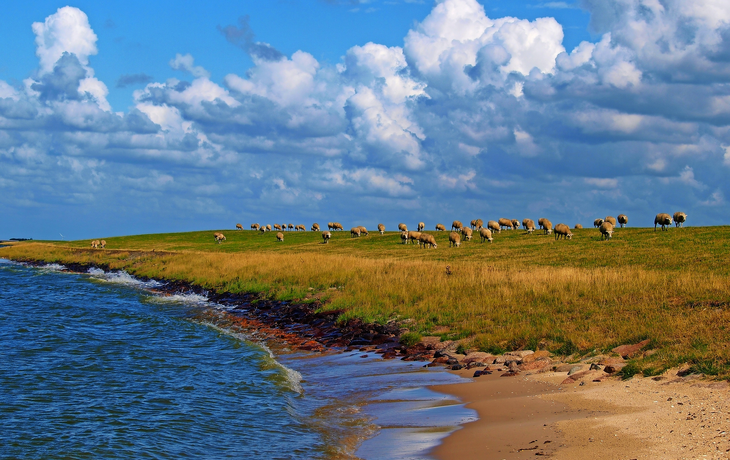Idylle am Ijsselmeer