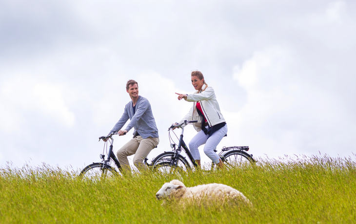 Paar bei Radtour mit dem Fahrrad am Deich mit Schafen