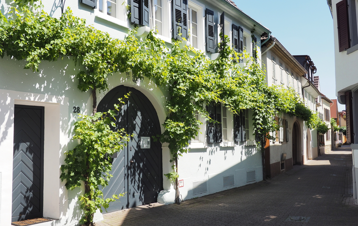 Deidesheim – Rieslingstadt in Rheinland-Pfalz