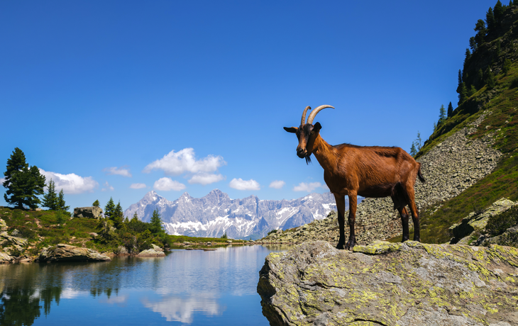 Spiegelsee in Schladming in der Steiermark, Österreich