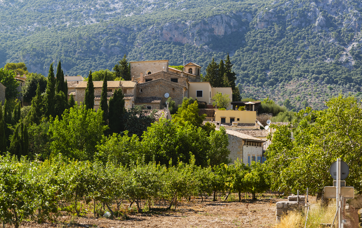 Orient in den Bergen der Serra de Tramuntana von Mallorca