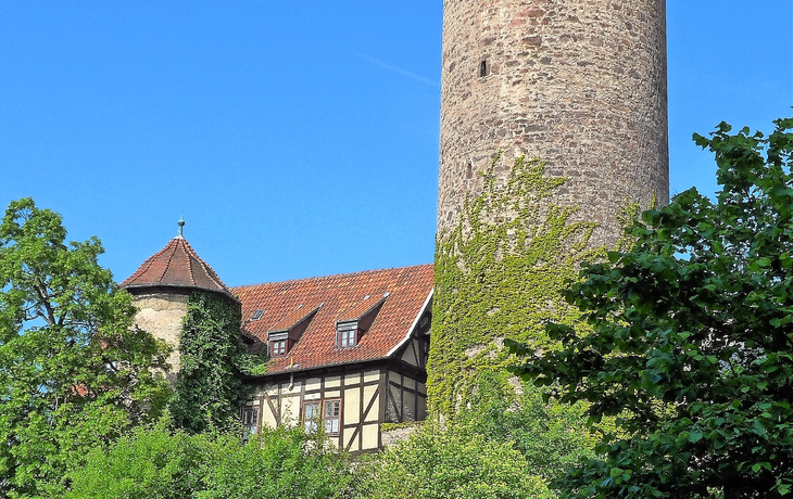 Der Hinterturm und sein Wohnbau in Schlitz